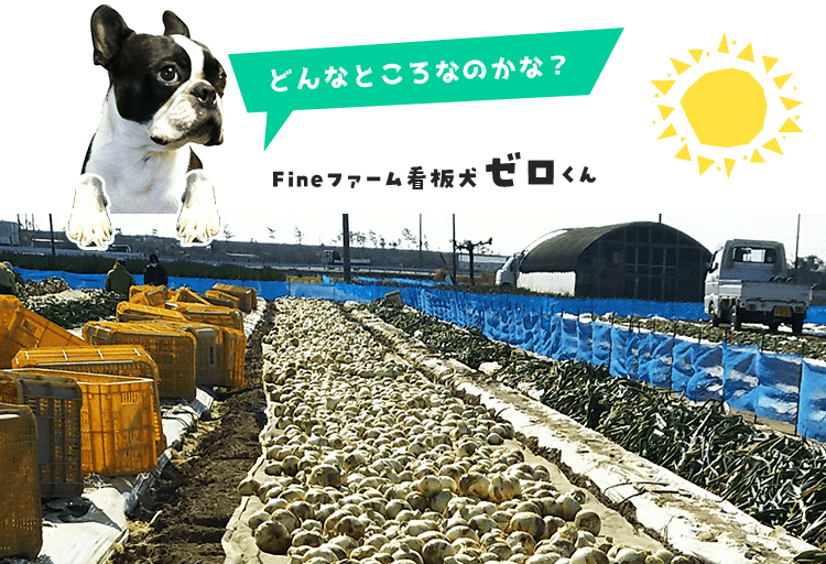 どんなところなのかな？Fineファーム看板犬 ゼロくん