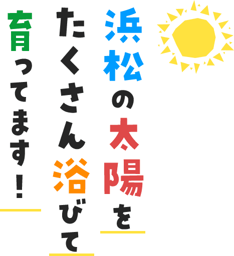 浜松の太陽を たくさん浴びて 育ってます！