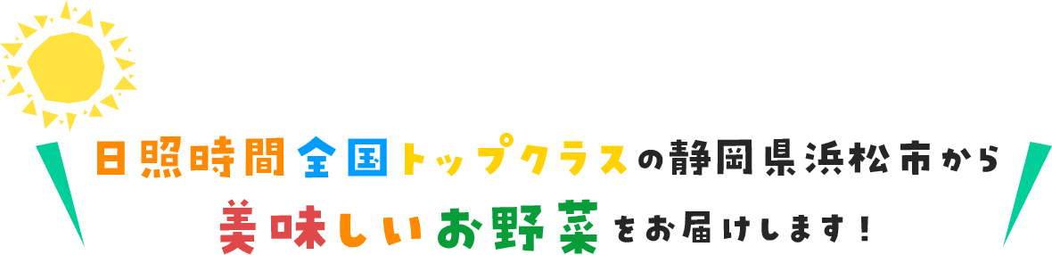 日照時間全国トップクラスの静岡県浜松市から 美味しいお野菜をお届けします！